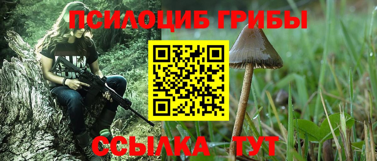 Галлюциногенные грибы Magic Shrooms  сколько стоит  Альметьевск  Вход с VPN 