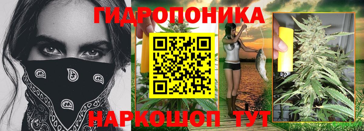 Конопля тримм  Бошки марихуана марихуана  Бошки марихуана индика  Каннабис Bruce Banner  Альметьевск  Вход с VPN 